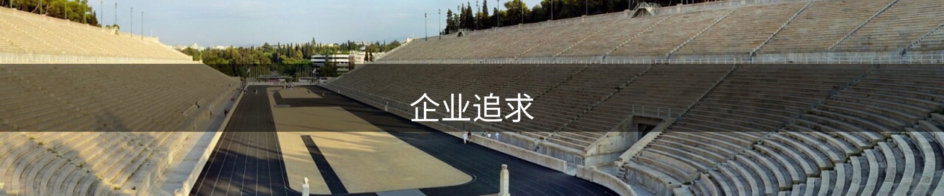 企业追求